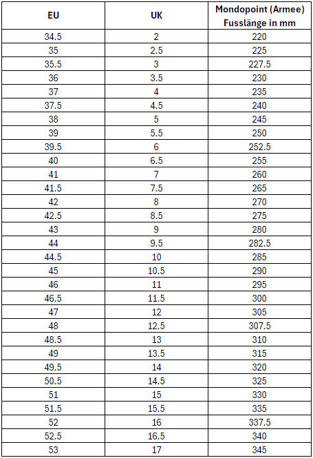 Kampfstiefel leicht GTX (Schweizer Armee)