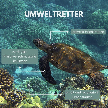 Schildkröte, Natur, Meer, Riff
