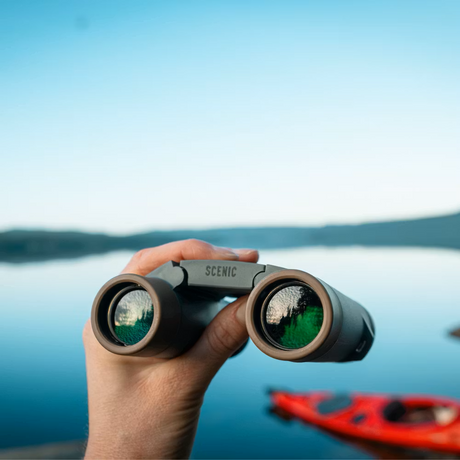 Binocular Scenic 8x25