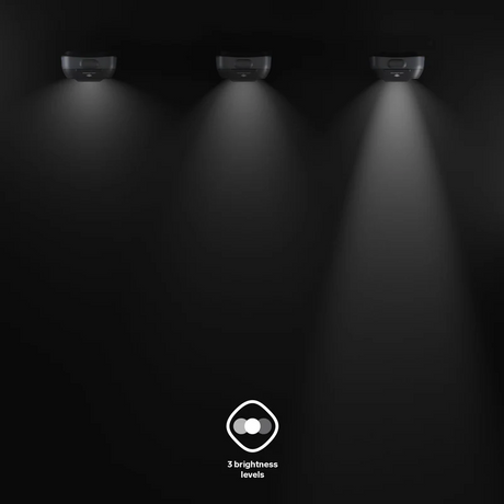 Beleuchtung, Spotlight